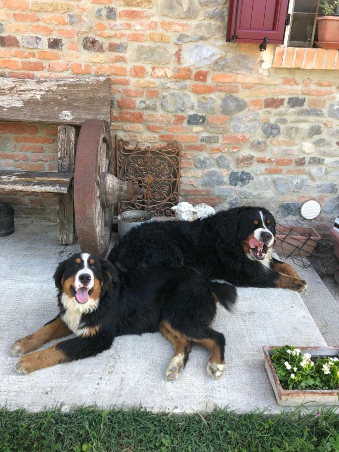 נוצ'טו New Flowers Farm B&B מראה חיצוני תמונה